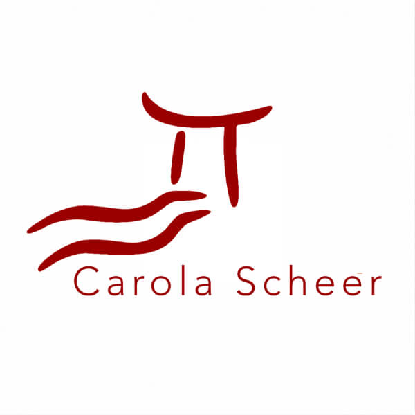 Carola Scheer, Coaching